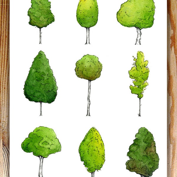 Piccola foresta, pittura dell'albero originale, A4 illustrazione, acquerello originale, verde albero dipinto