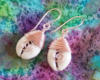 Wire Wrapped Cowrie Shell Earrings: Rose Gold Beach Jewelry