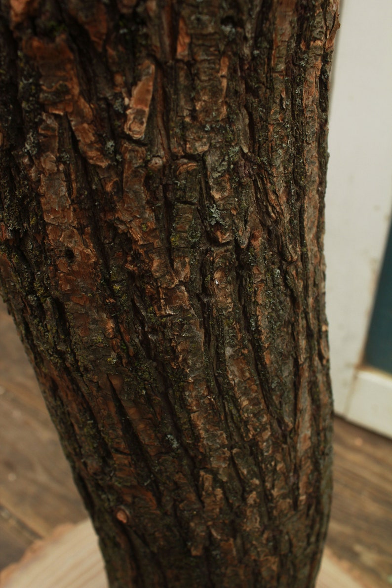 Organic Tree Bark Scratching Post Cat Scratching Post Tree Etsy