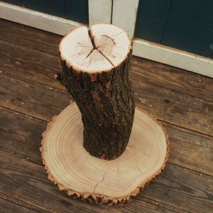 tree bark scratching post
