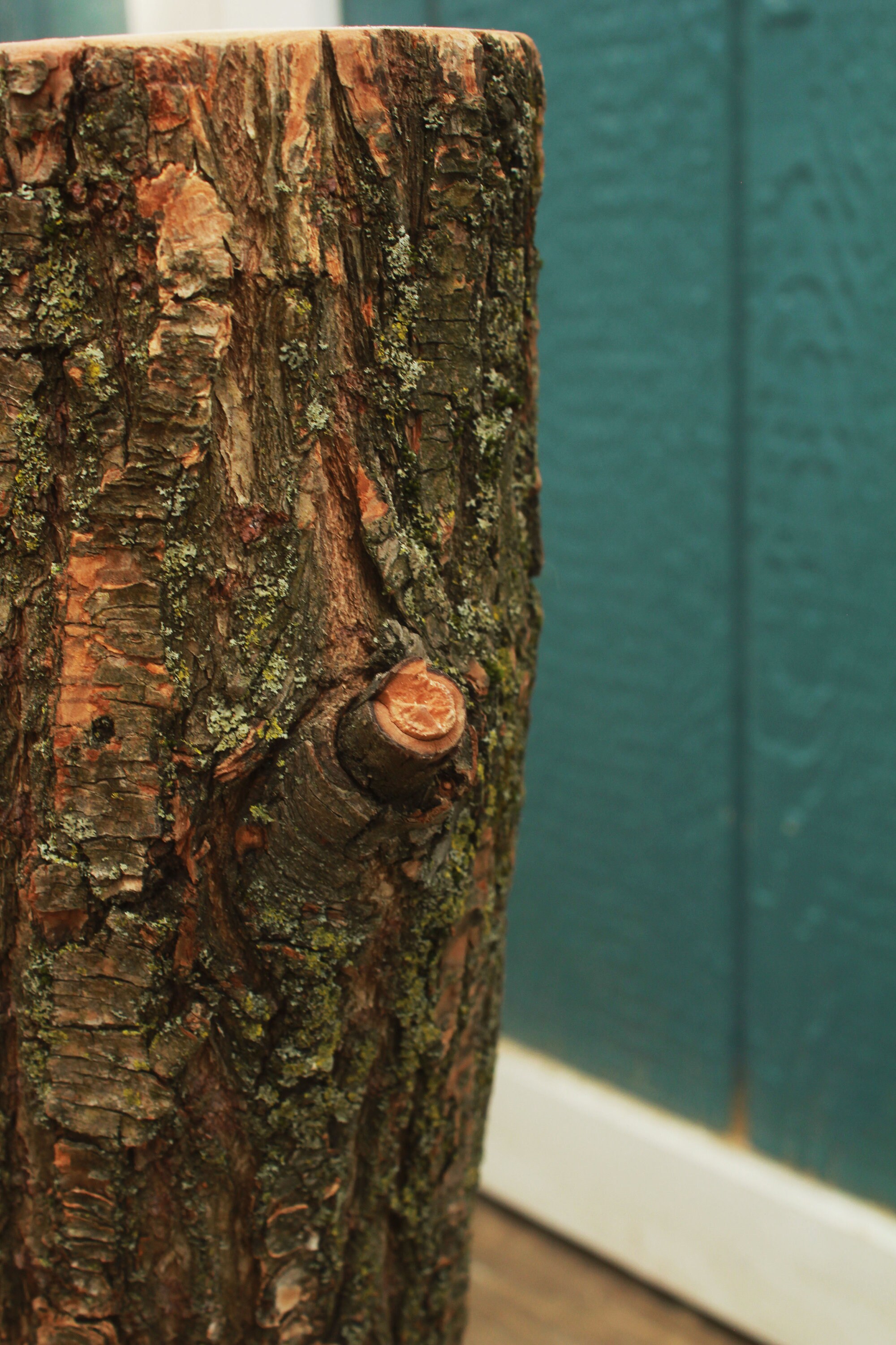 Organic Tree Bark Scratching Post Cat Scratching Post Tree Etsy