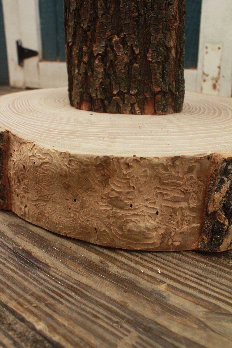 Organic Tree Bark Scratching Post Cat Scratching Post Tree Etsy