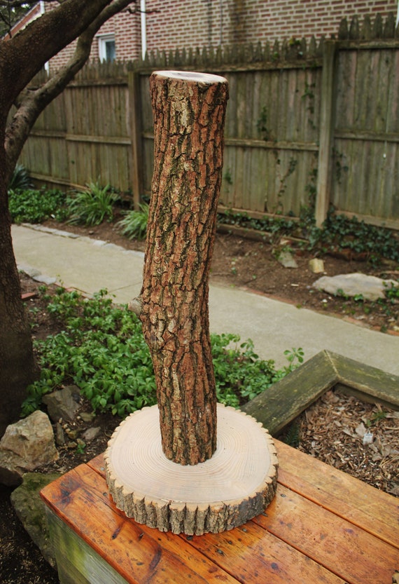 tree bark scratching post