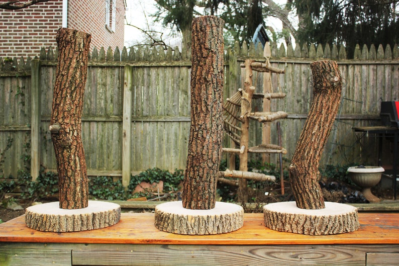tree bark scratching post
