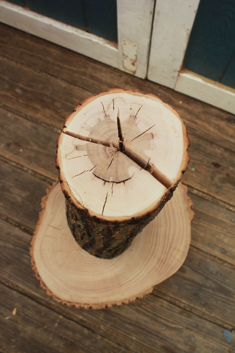 Organic Tree Bark Scratching Post Cat Scratching Post Tree Etsy