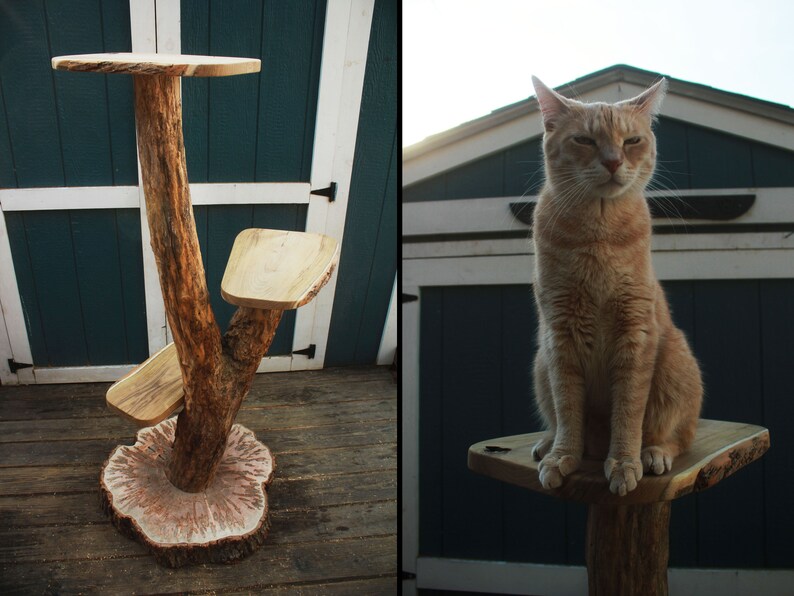 Cat Tree Tower Cat Tree Design Catio Furniture Custom Cat Furniture Cat Play Tree Furniture For Cats Arbre à Chat
