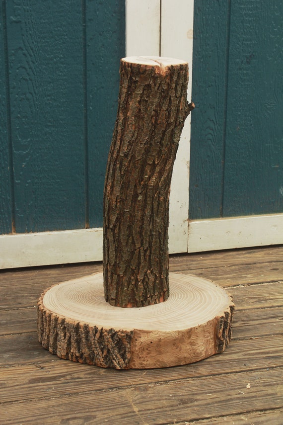 tree stump cat scratcher