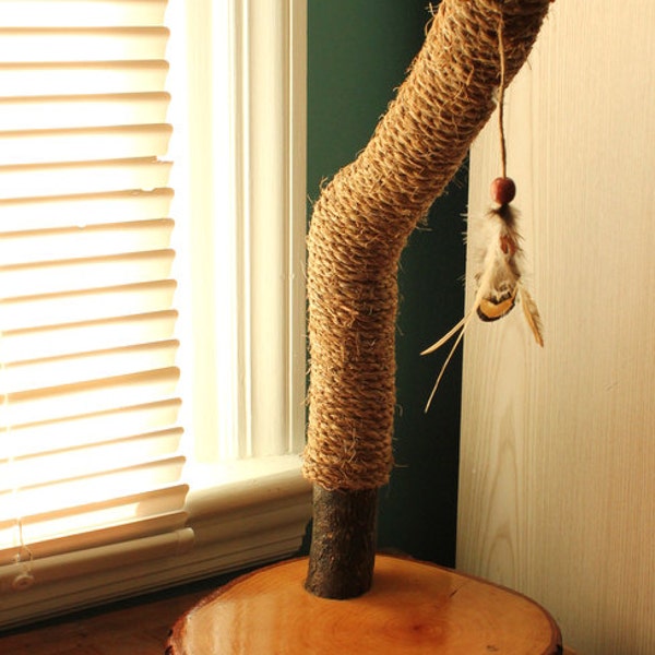 Recycled Tree-Limb Cat Scratching Post No. 13