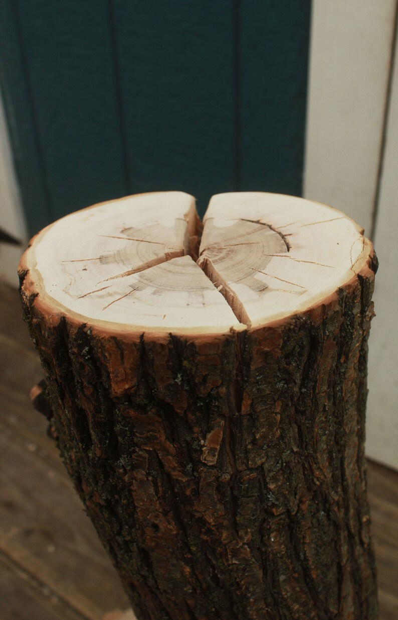 Organic Tree Bark Scratching Post Cat Scratching Post Tree Etsy