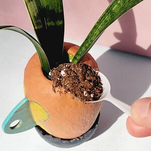 Mini Paper Mache Plant Pot with Dish: Poppy image 7