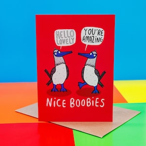 Nice Boobies A6 Greeting Card - Love Card - Bird Card - Rude - Adult Card - Funny - Katie Abey