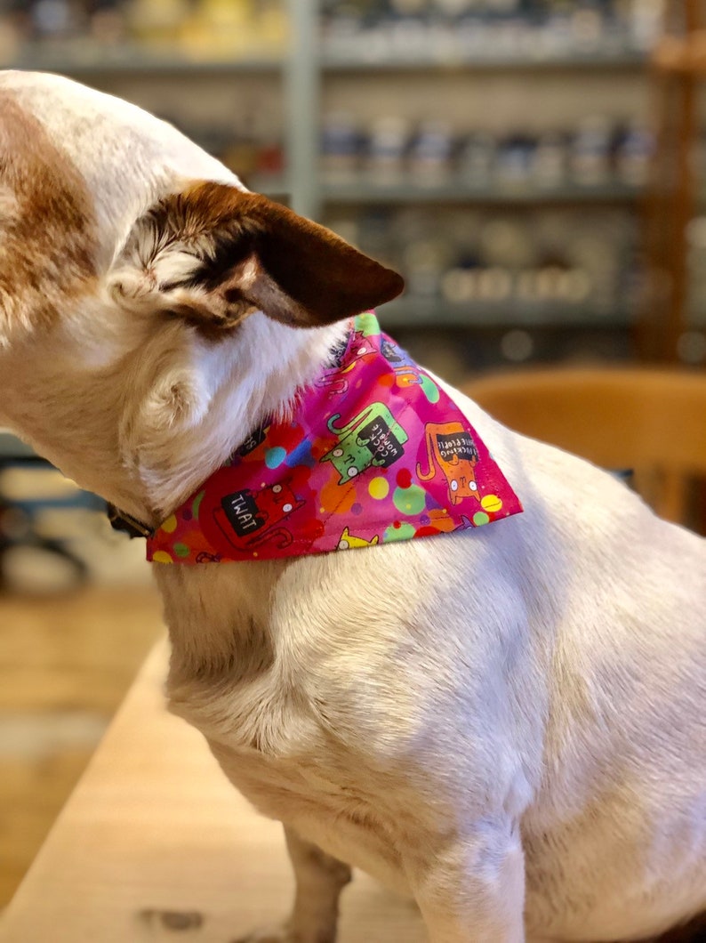dog pride bandana