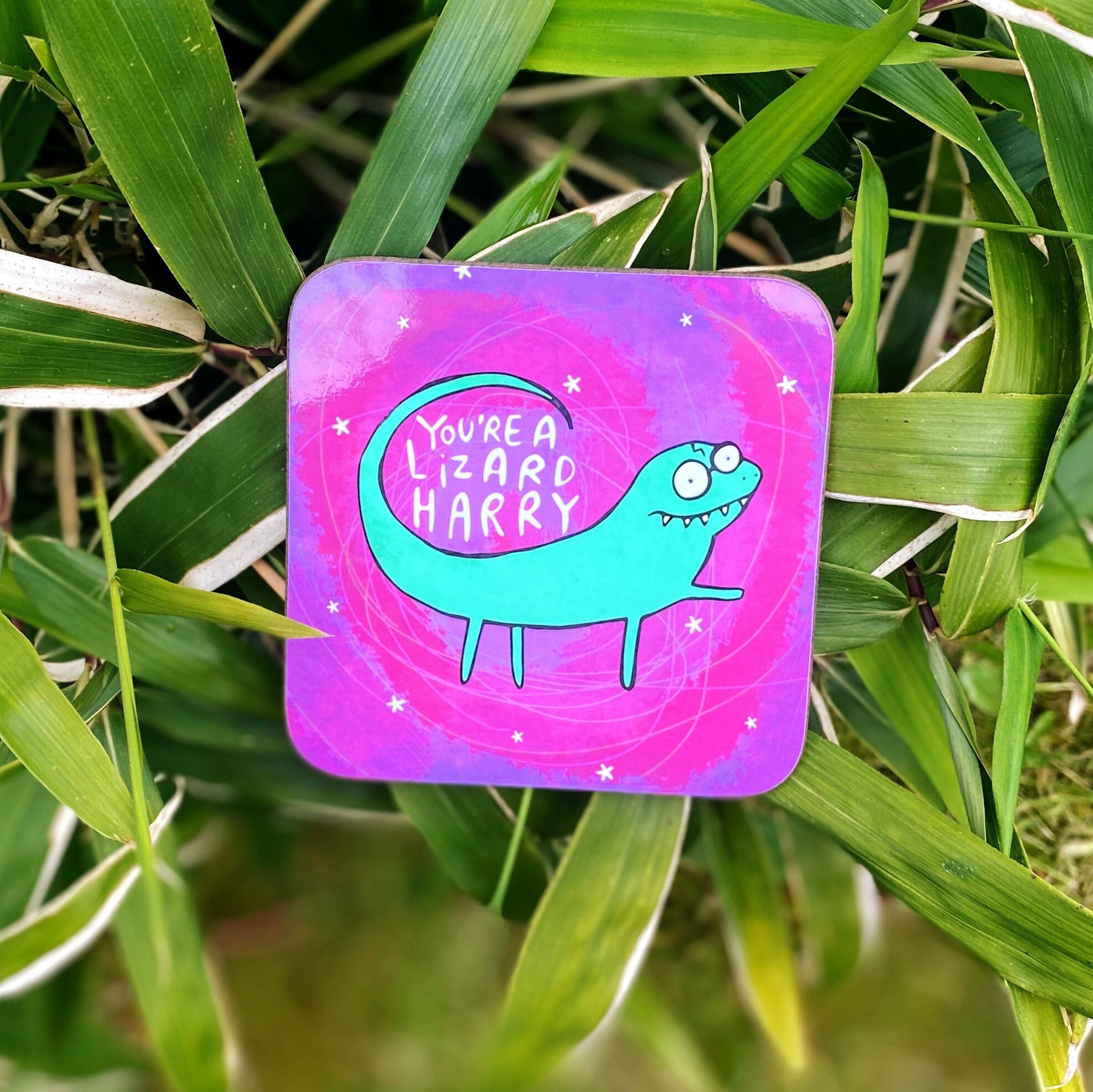 You're A Lizard Harry Coaster Funny Gift for Her - Etsy You're A Lizard Harry Coaster Funny Gift for Her - Etsy