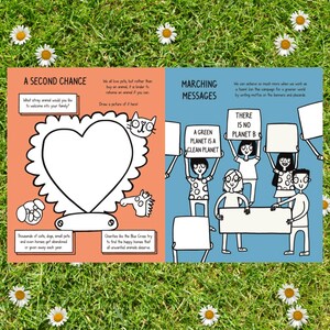 Pages in the Be Green Activity Book illustrated by Katie Abey. One page includes a drawing activity about adopting stray animals and the other has an activity on saving the planet. The book is laying on the grass amongst daisies
