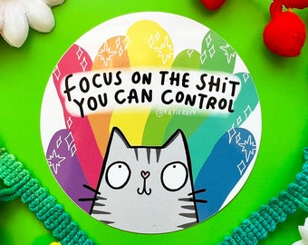 Focus on the things you can control - Vinyl Sticker