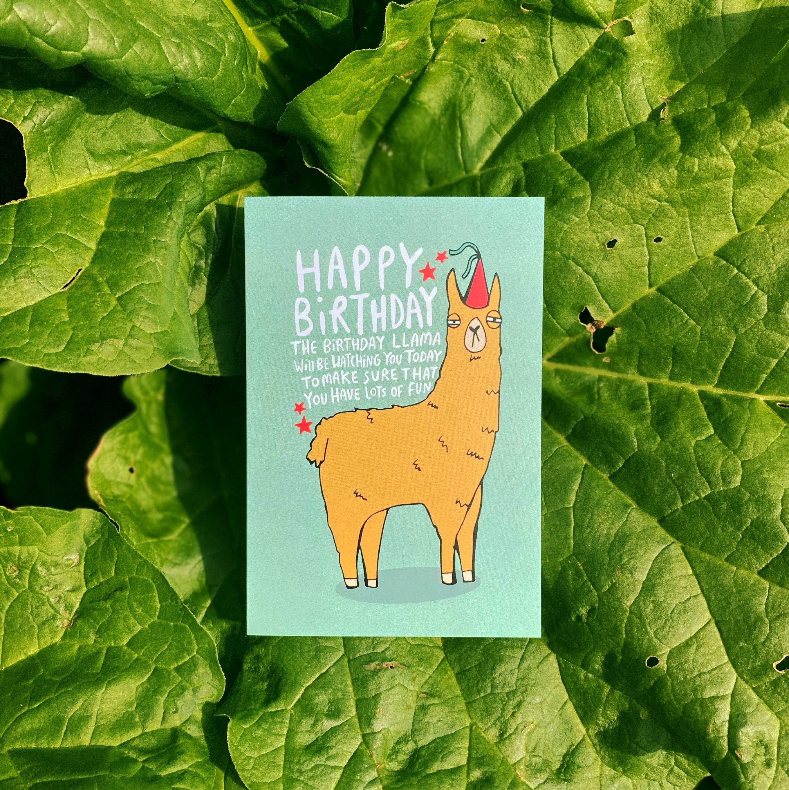 Birthday Llama A6 Card Lama Animal Card Funny Greeting - Etsy Birthday Llama A6 Card Lama Animal Card Funny Greeting - Etsy