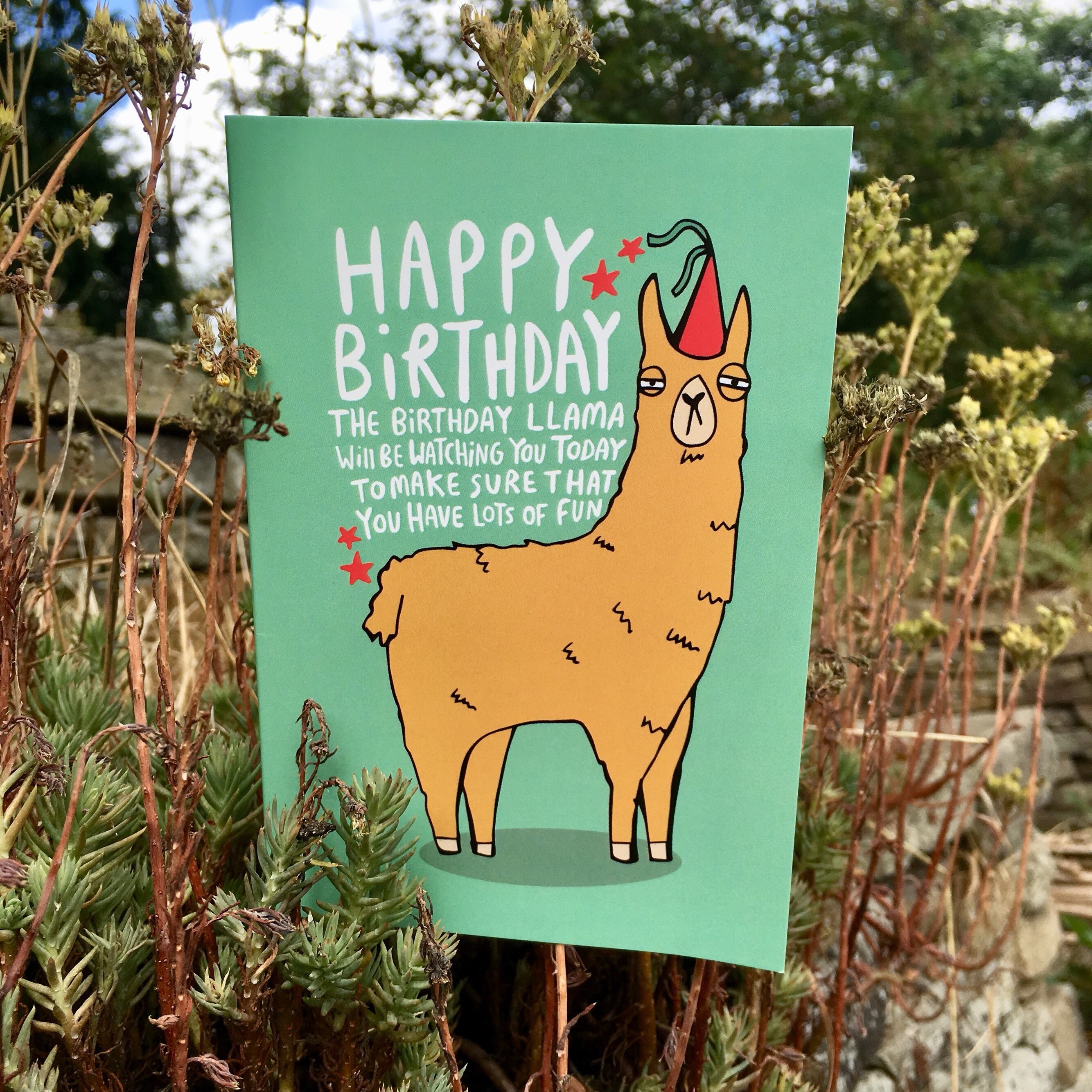 Birthday Llama Greeting card Designed and printed in the | Etsy