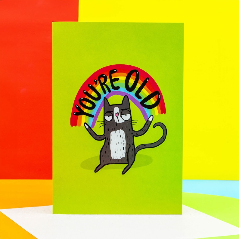 An A6 card with an annoyed cat illustrated on the front by Katie Abey with a rainbow above them and the text saying youre old in a green backdrop