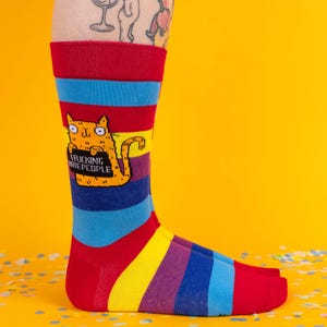 Sweary Cat I F*cking Hate People Regenbogen Socken - Katie Abey Lustige Socken