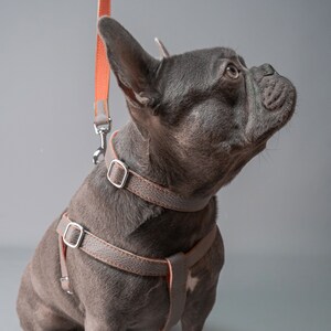 Leather Dog Harness – Grey & Coral Adjustable Leather Pet Harness Handmade Dog Accessory Luxury Puppy Harness