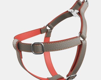 Dog Harness - Sand and Coral