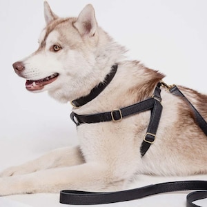 Leder Hundeleine – Schwarz Handgefertigte Hundeleine Premium Leder Leine Strapazierfähiges Hundezubehör