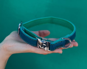 Leather Dog Collar - Blue and Mint Green