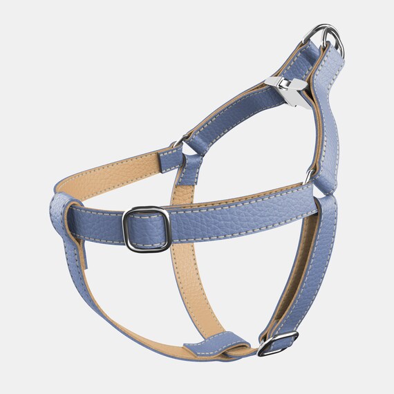 Blue leather hotsell dog harness