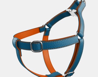 Leather Dog Harness - Blue and Orange