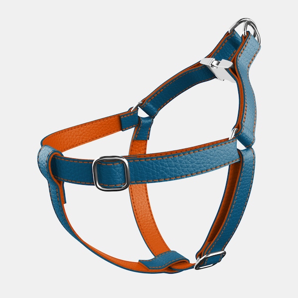 Leather Dog Harness - Blue and Orange