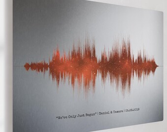 25th Anniversary Custom Copper Night Sky & Silver Metal Soundwave Art for Spouse or Parents