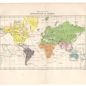 Seltene ORIGINAL ANTIKE Tierkarte der Welt, 1904 - 119 Jahre alt - Atlas antike Karte, Weltkarte, Karte von International Map Decor