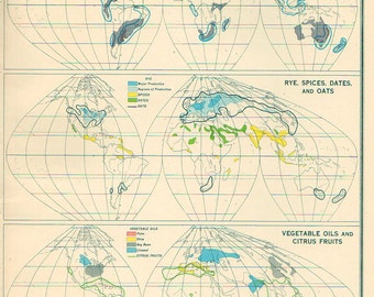 Moyen Map of The World, années 1950 atlas antique carte, carte du monde, carte du monde alimentaire carte Decor 80
