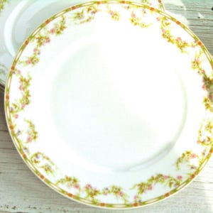 Puede incluir: Un plato de cerámica blanca con un borde decorativo de pequeñas flores rosas y follaje verde. El borde está acentuado con una fina línea dorada y el centro del plato es de color blanco liso. Este plato redondo forma parte de una pila de vajilla.