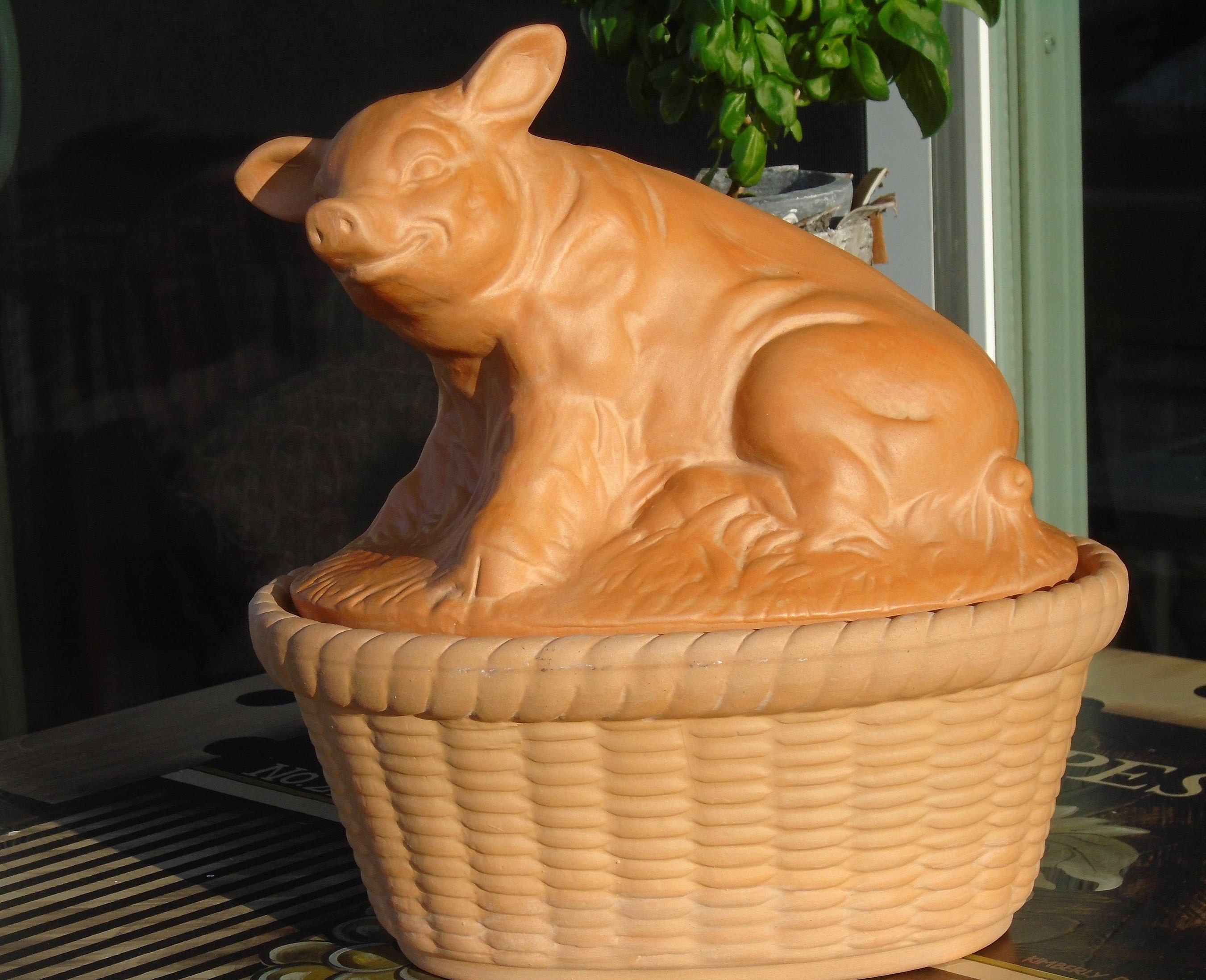 Craigslist Piglets 50 - jbdyge6