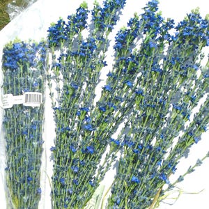 Puede incluir: Una colección de tallos de flores artificiales con pequeñas flores azules vibrantes agrupadas en tallos verdes. Un manojo está envuelto en una funda de plástico transparente con una etiqueta blanca rectangular con un código de barras.