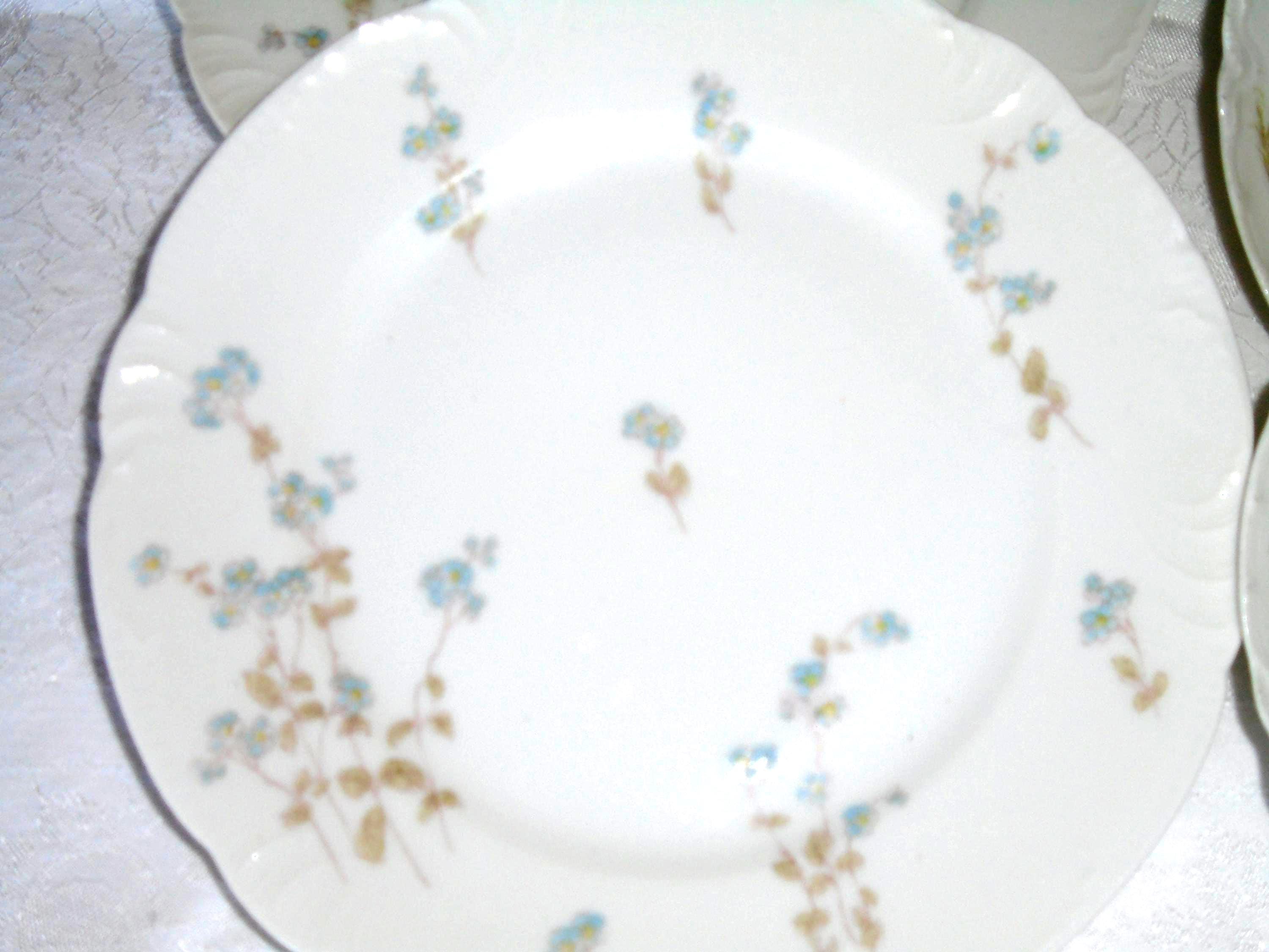 LIMOGES プレート 5枚セット リモージュ フレンチプレート 5 枚