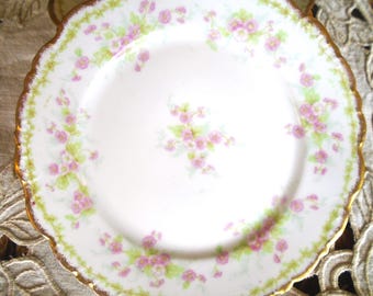 Elite Works Limoges France Pink Floral Gold Berry Plates Set of 5 Scalloped
