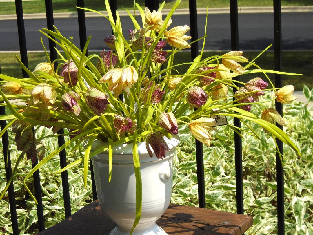 Faux Fritillaria Flower. Yellow or Purple, Shapeable Petals and Stems