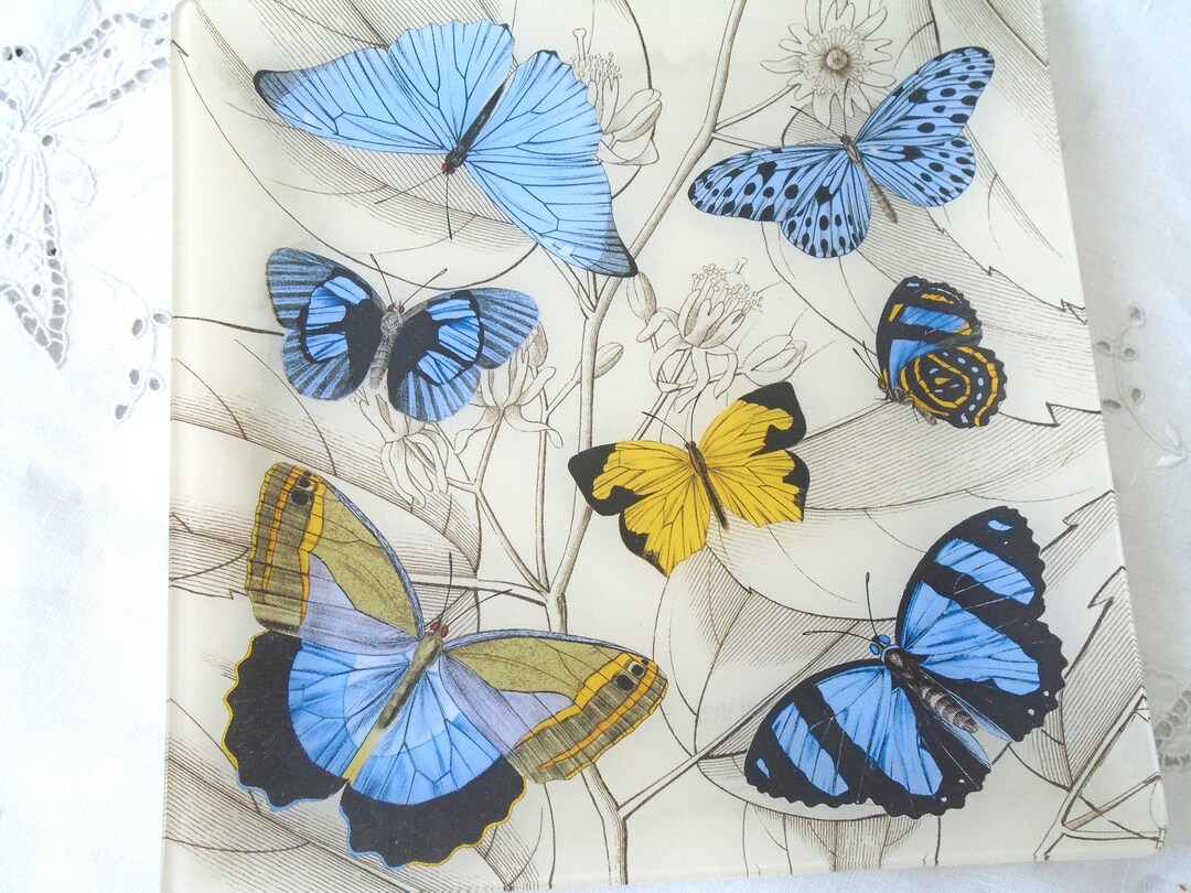 Vintage Fringe Studio Glass Tray Glass Rectangle Plate, Butterflies of