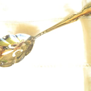 May include: A silver serving spoon with a decorative, leaf-shaped bowl and a long, slender handle. The spoon has ornate detailing along the handle and bowl edges. The spoon is set against a white background.