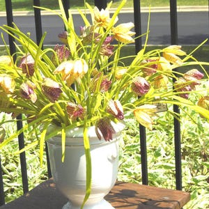 Faux Fritillaria Flower. Yellow or Purple, shapeable Petals and stems. Botanically Correct Florals, very realistic.