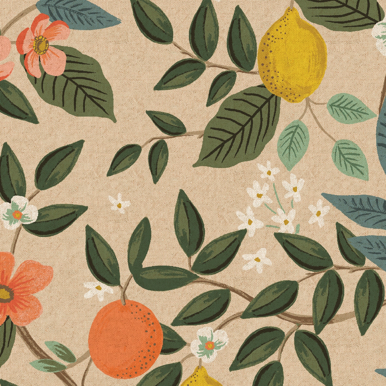New 1/2 Yard Rifle Paper Co. Bramble Collection CANVAS Etsy