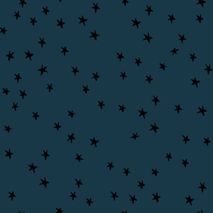 1/2 Yard - Starry Smoke- RS4109 45- Ruby Star Society - Alexia Abegg - Quilting Cotton - Starry Starry