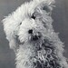 Linda reviewed Knitted Shaggy Doggy Toy Digital Download Vintage Knitting Pattern