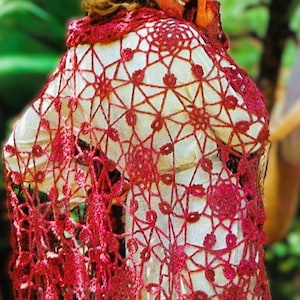 Crocheted Shawl Pattern Digital Download Vintage Crochet Pattern