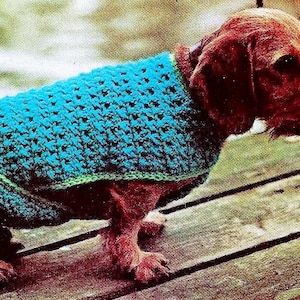 Crocheted Dog Coat Digital Download Vintage Crochet Pattern
