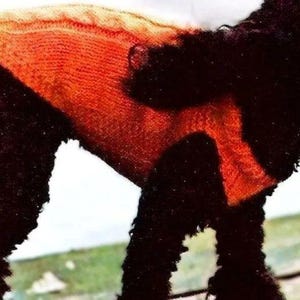 Fisherman Knit Cable Dog Sweater Pattern Digital Download Vintage Knitting Pattern
