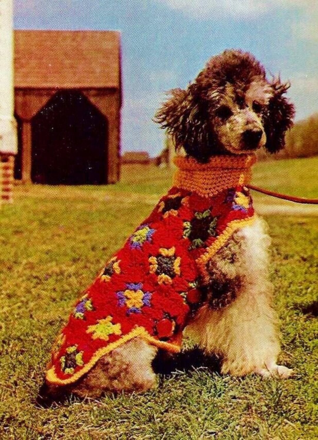 Crocheted Granny Squares Dog Coat Pattern Digital Download Vintage
