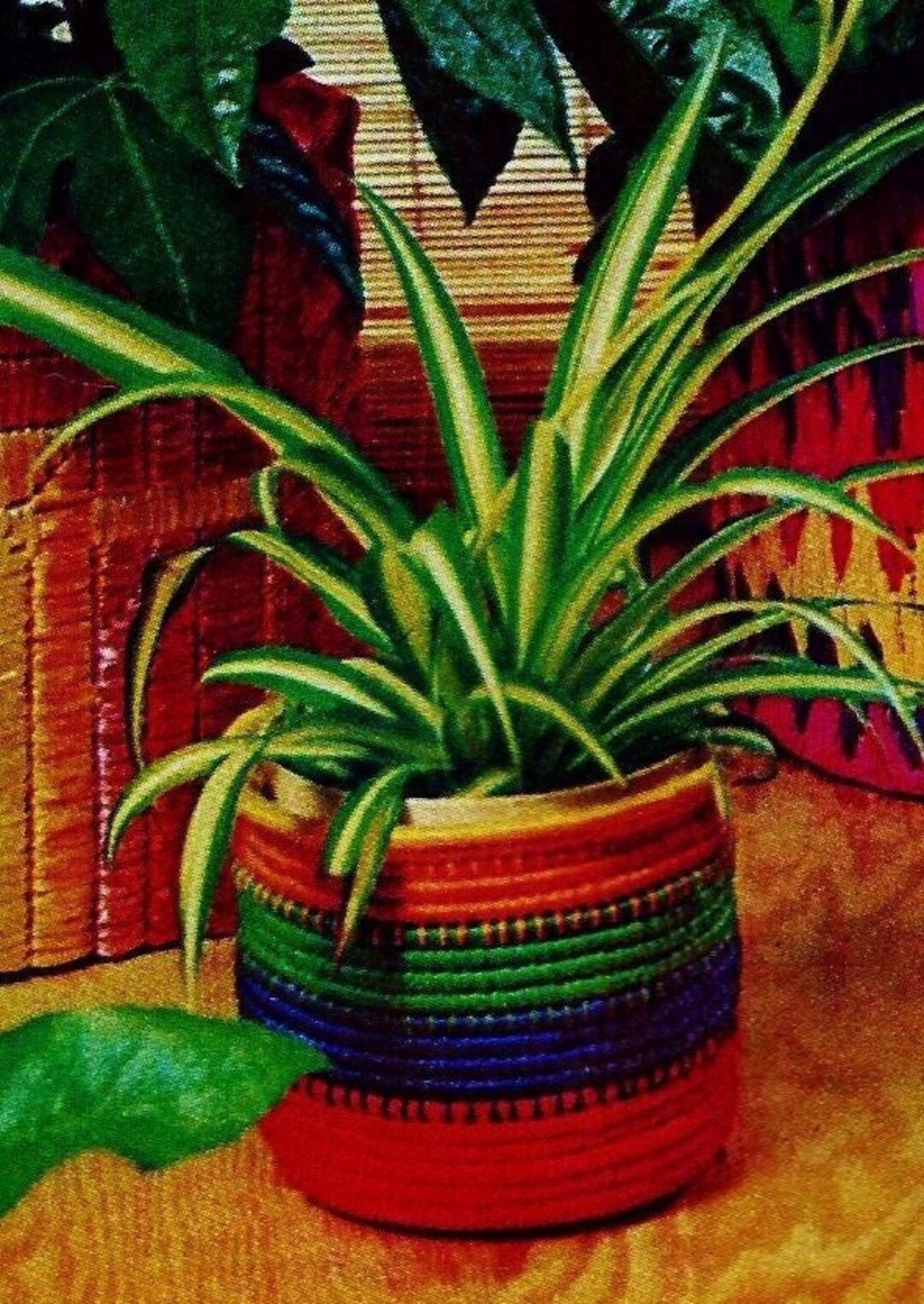 Elegant Woven Plant Basket: A Home For Your Botanical Beauties